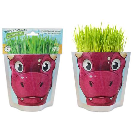 Набор для выращивания Happy Plant
