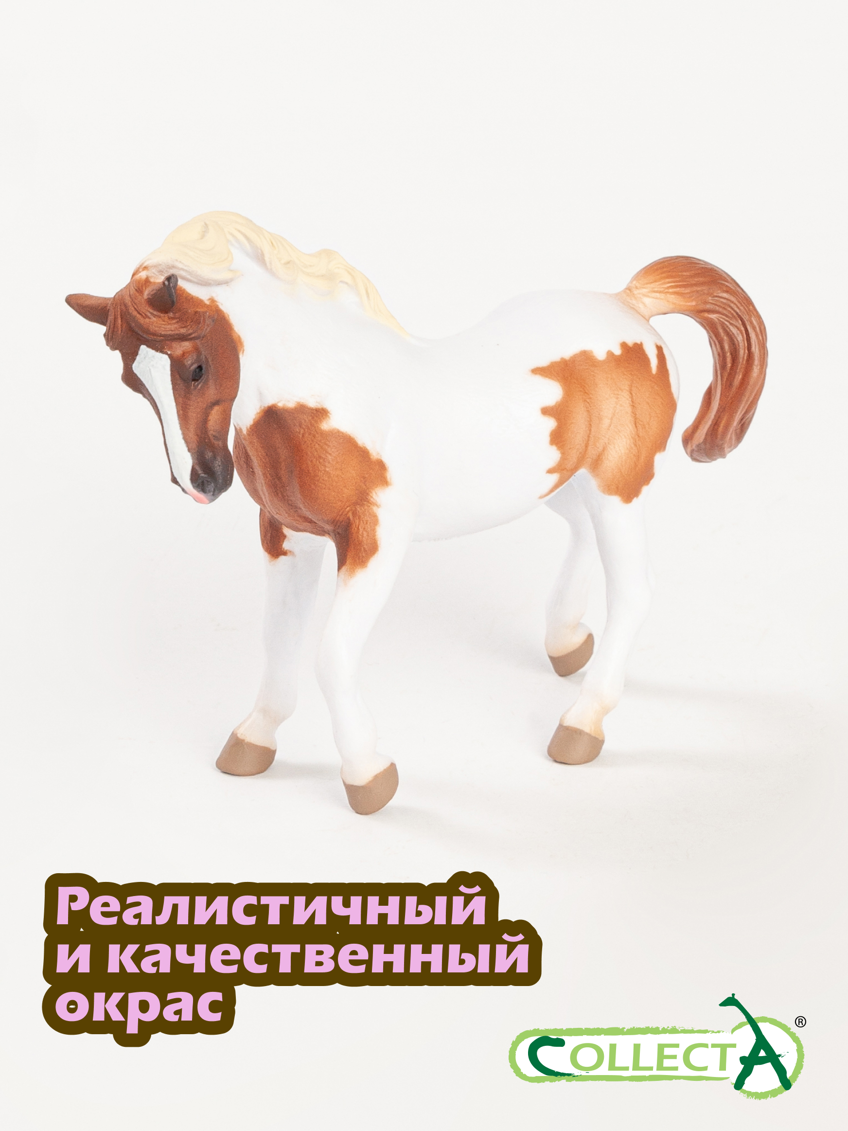 Фигурка Collecta Чинкотигский пони - фото 4