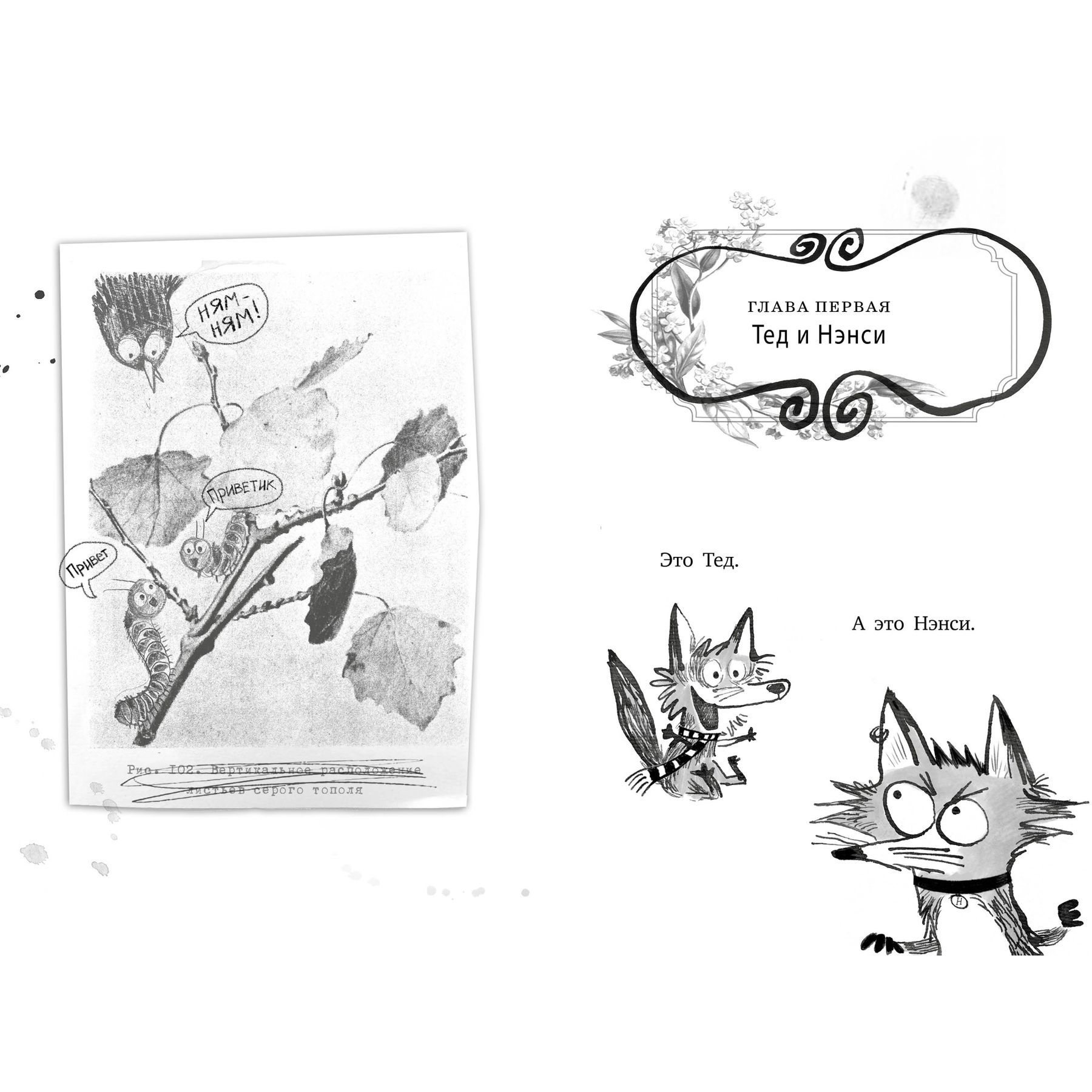 Книга Махаон Надя Ширан. Добро пожаловать в Гримвуд! - фото 3