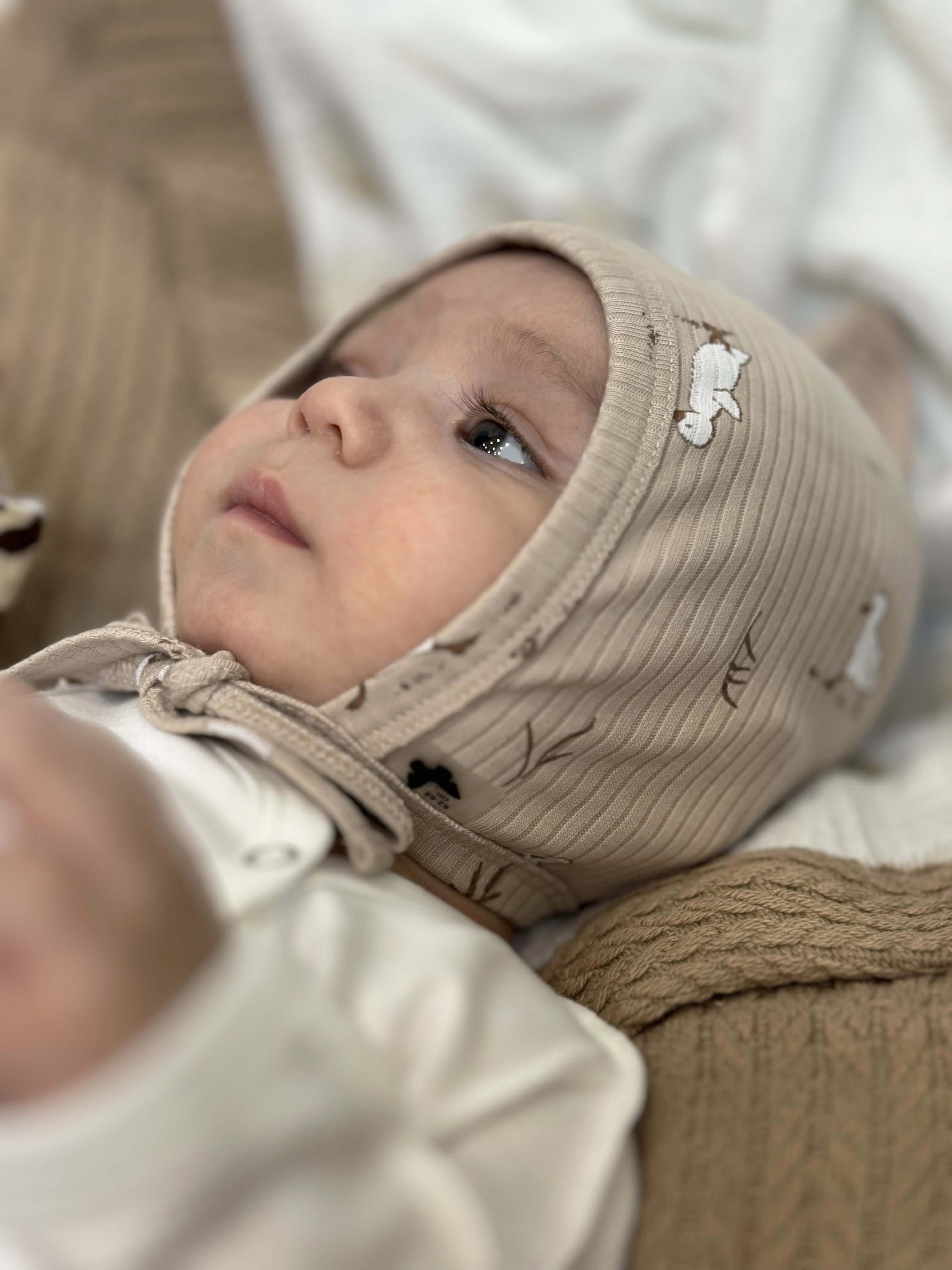 Чепчик RinaAmari 82290956 - фото 4