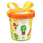 Набор для выращивания Happy Plant