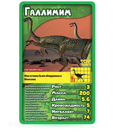 Настольная игра TopTrumps