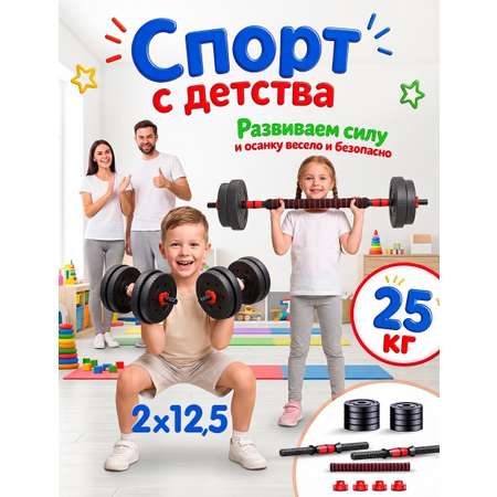 Набор блинов с грифом БлинДаГриф 12,5кг 2шт