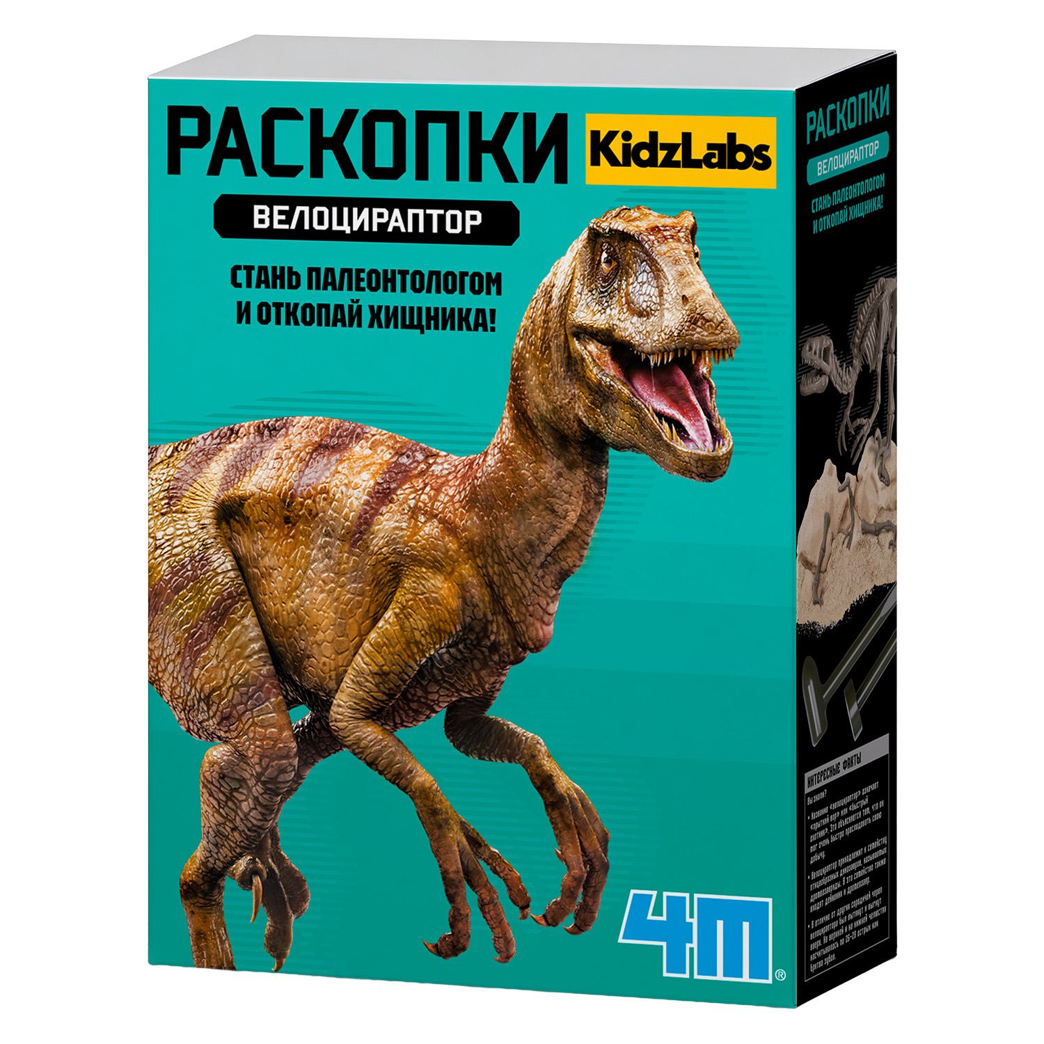 Набор для раскопок 4M - фото 6