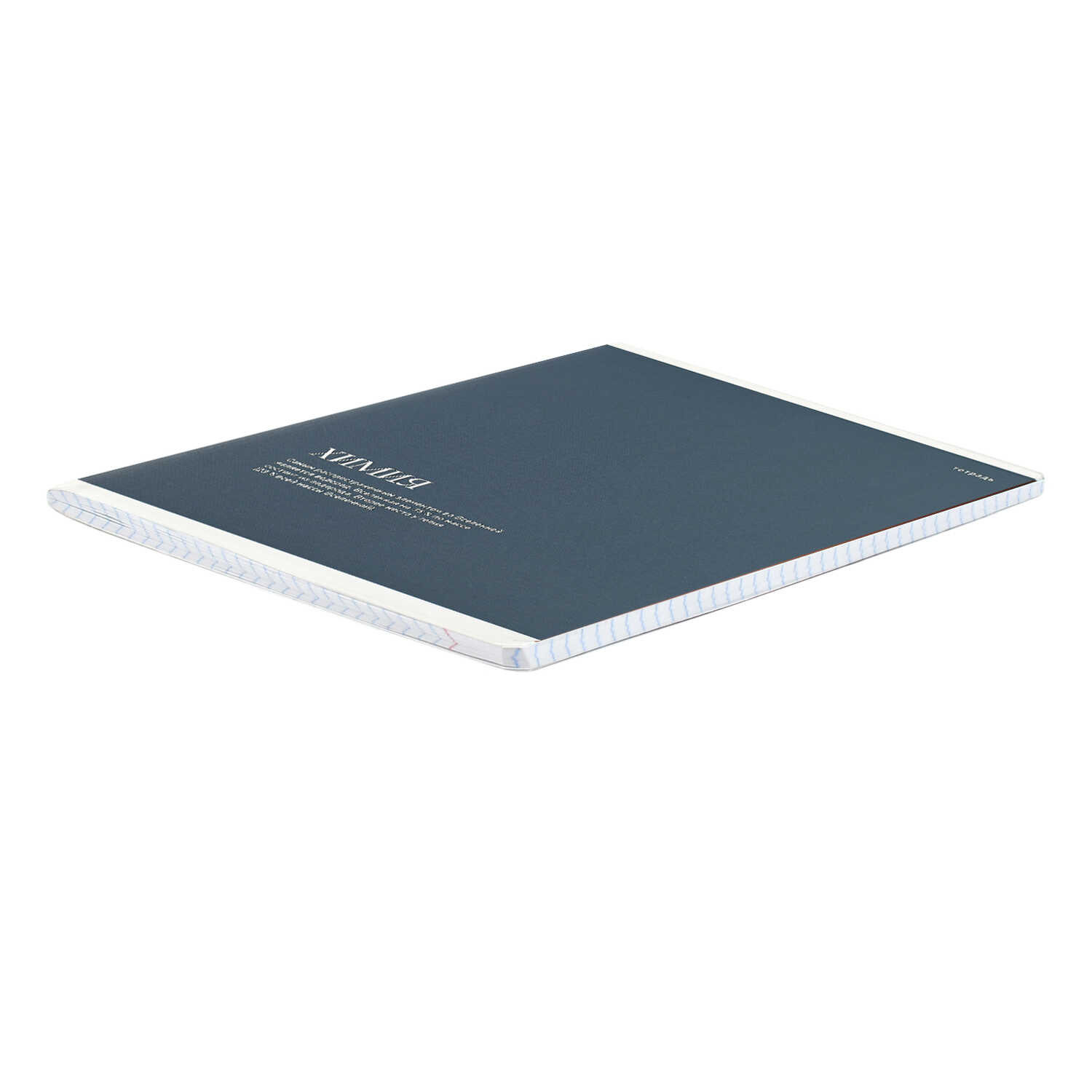 Тетрадь Феникс + 48 лист. 10 шт. (Алгебра, Геометрия, Физика, История, Биология, География, Химия, Английский язык, Русский язык, Литература) - фото 4