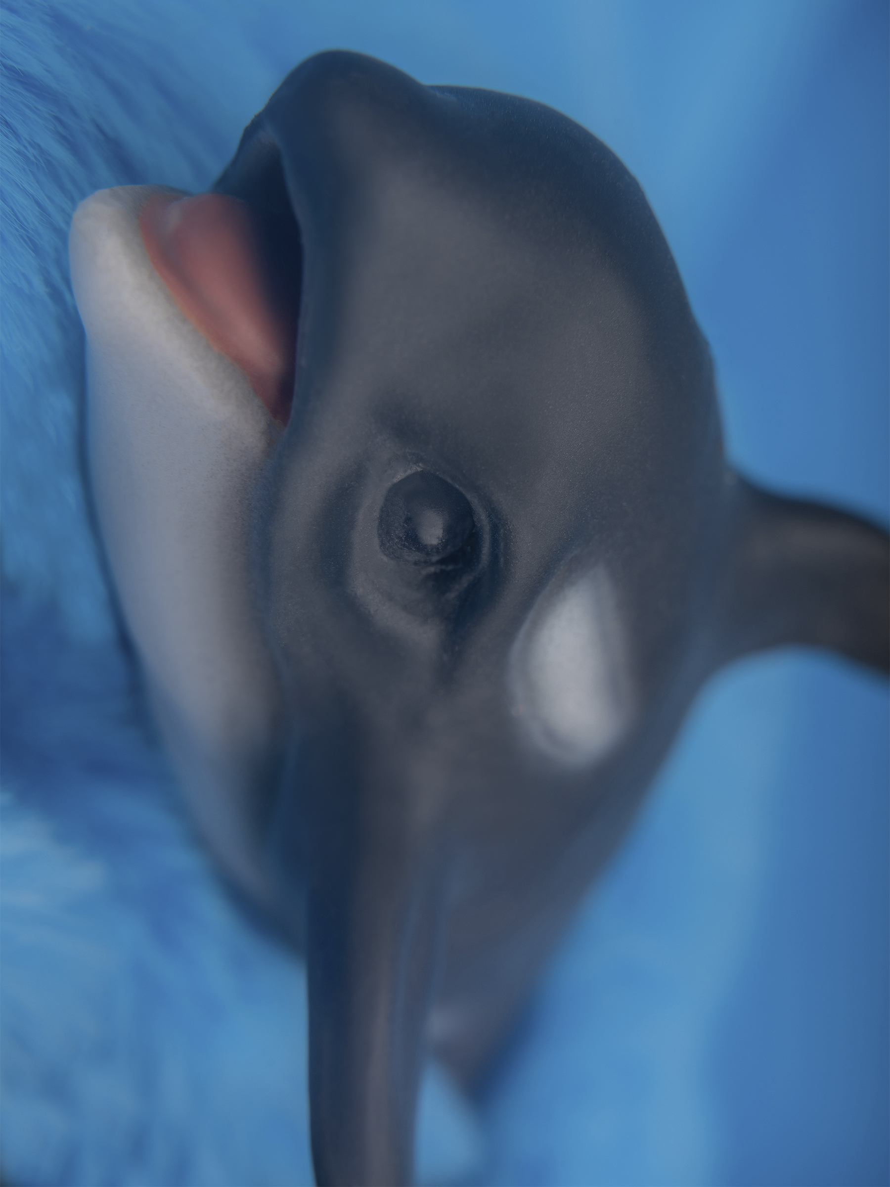 Кукла мини Magic Manufactory Magic Ocean Косатка высота 18 см 4631171558333 - фото 30