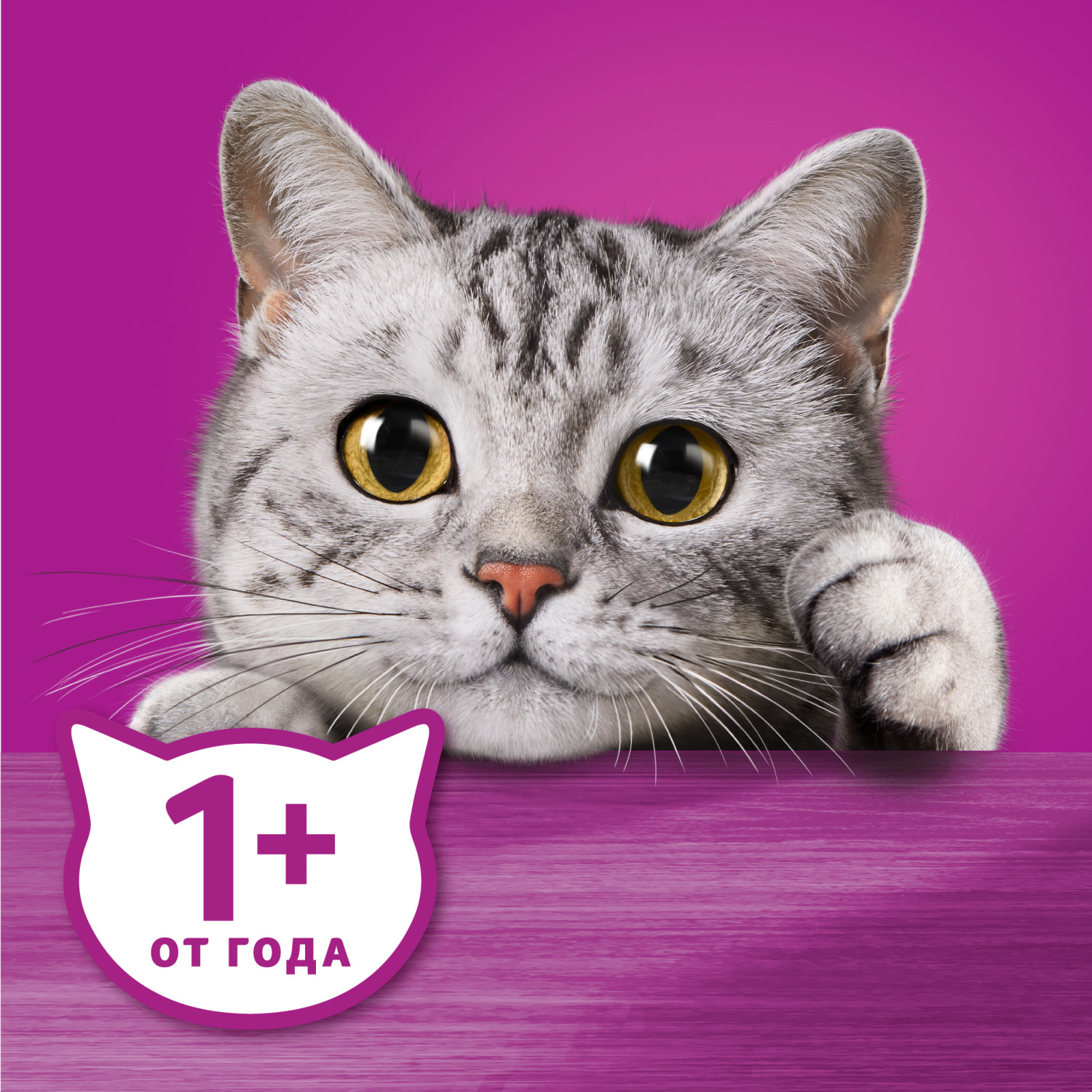Корм для кошек Whiskas Аппетитный микс с курицей и уткой в сырном соусе 75г - фото 7