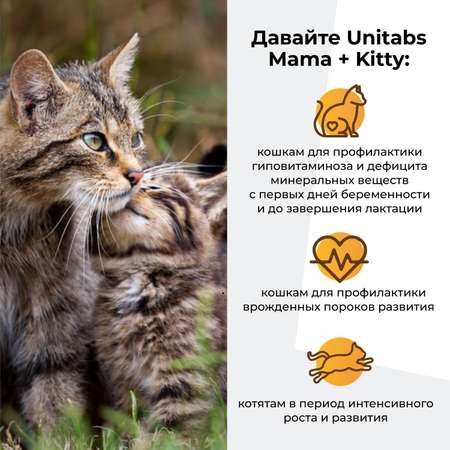 Витамины для кошек Unitabs Mama+Kitty c B9 120таблеток