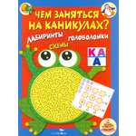 Книга Стрекозa Чем заняться на каникулах? Лабиринты
