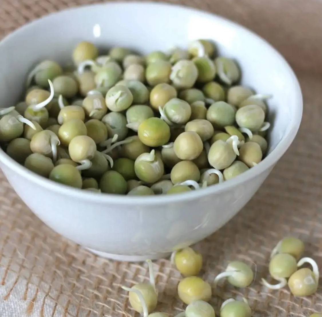 Семена для микрозелени Никольские ПроРостки горох зеленый - фото 4