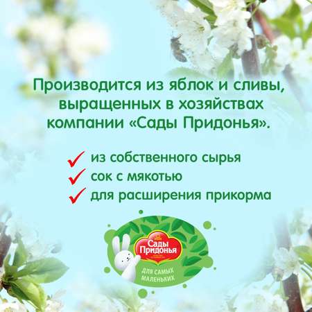Сок Сады Придонья яблоко-слива 0.125 с 5месяцев