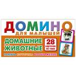 Настольная игра РУЗ Ко Домино