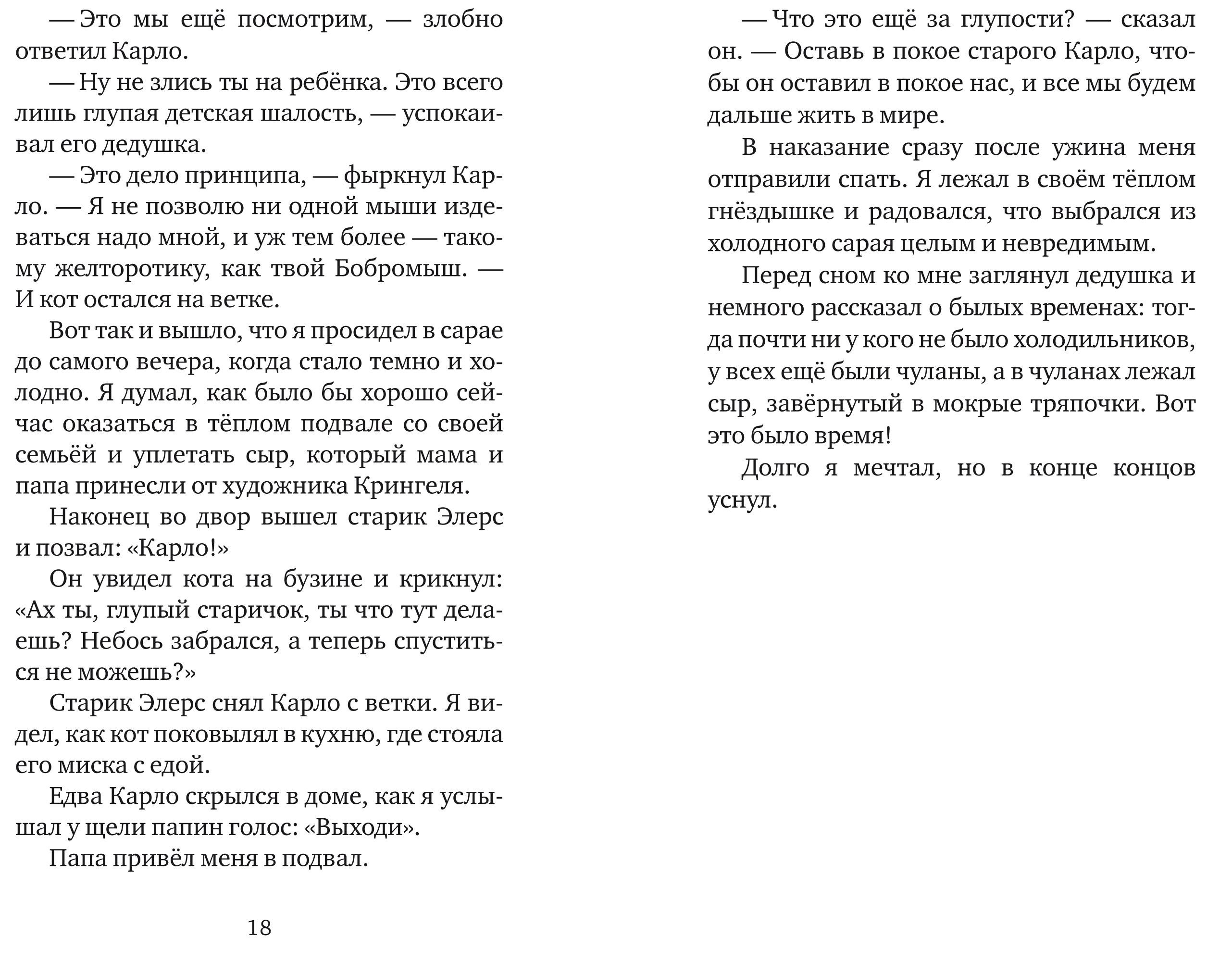 Книга Текст Мышонок-путешественник - фото 2