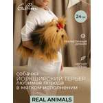 Мягкая игрушка GULLIVER toys Терьер Джонни, 24 см