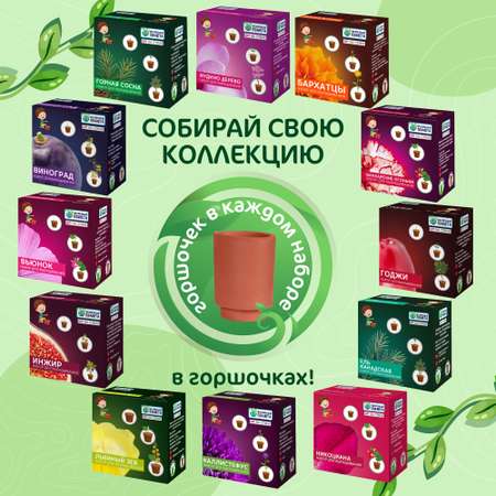 Набор для выращивания ЗЕЛЕНАЯ ПЛАНЕТА