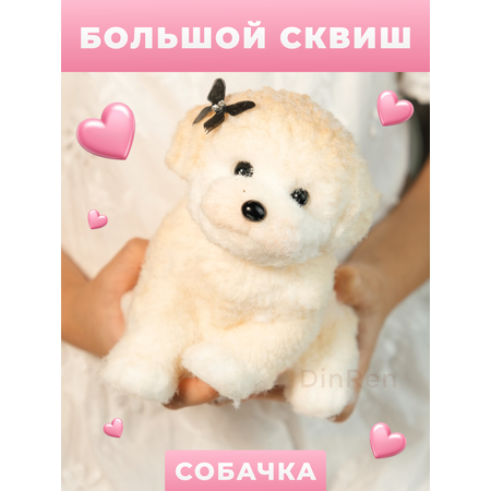 Сквиш DinRen