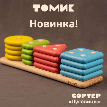 Игрушка Томик сортер