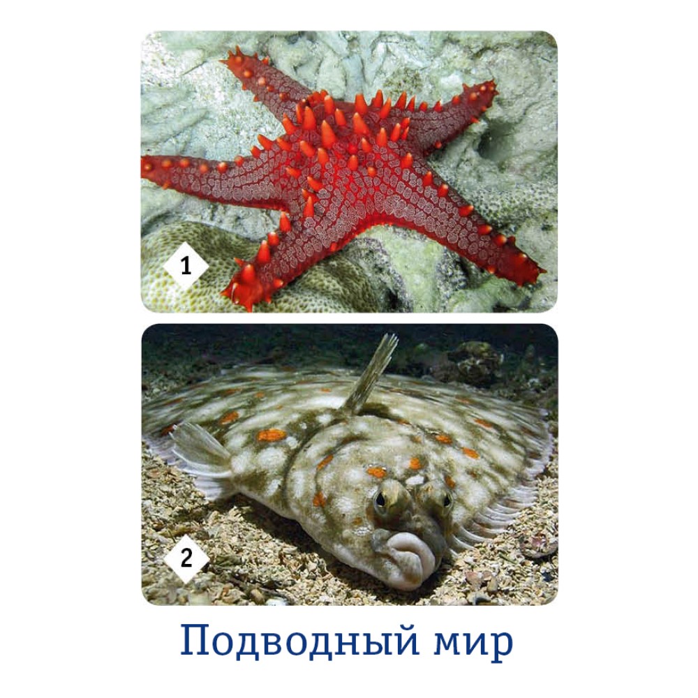 Настольная игра Нескучные игры Мемо - фото 3