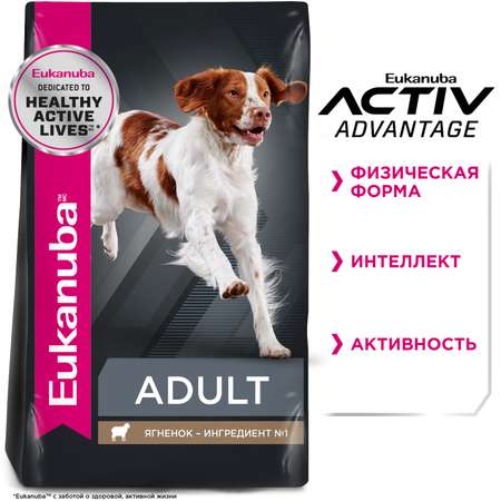 Корм для собак Eukanuba 1кг Dog с ягненком для всех пород