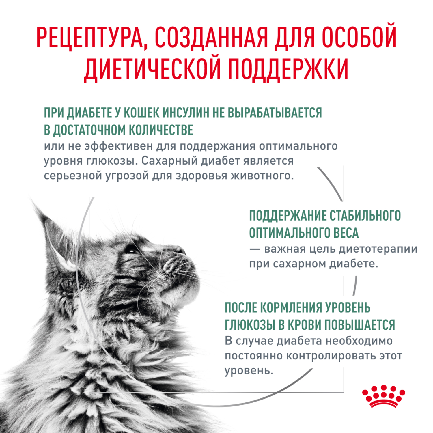 Корм для кошек ROYAL CANIN Diabetic при сахарном диабете 350г - фото 2