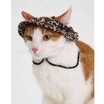 Панама для собак и кошек Зоозавр