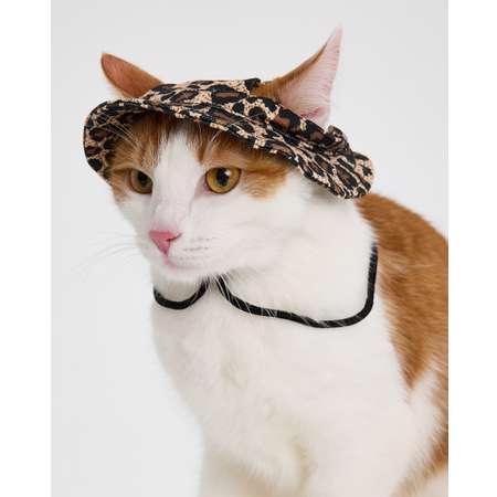 Панама для собак и кошек Зоозавр