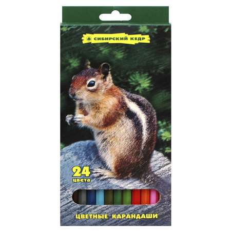 Карандаши цветные СКФ 24 шт.
