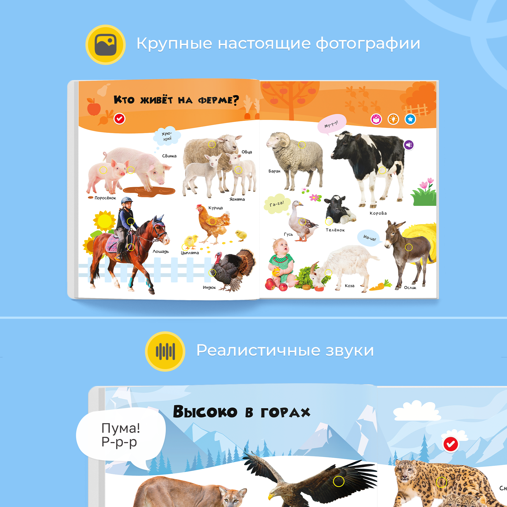 Комплект говорящих книжек BertToys набор интерактивных - фото 9