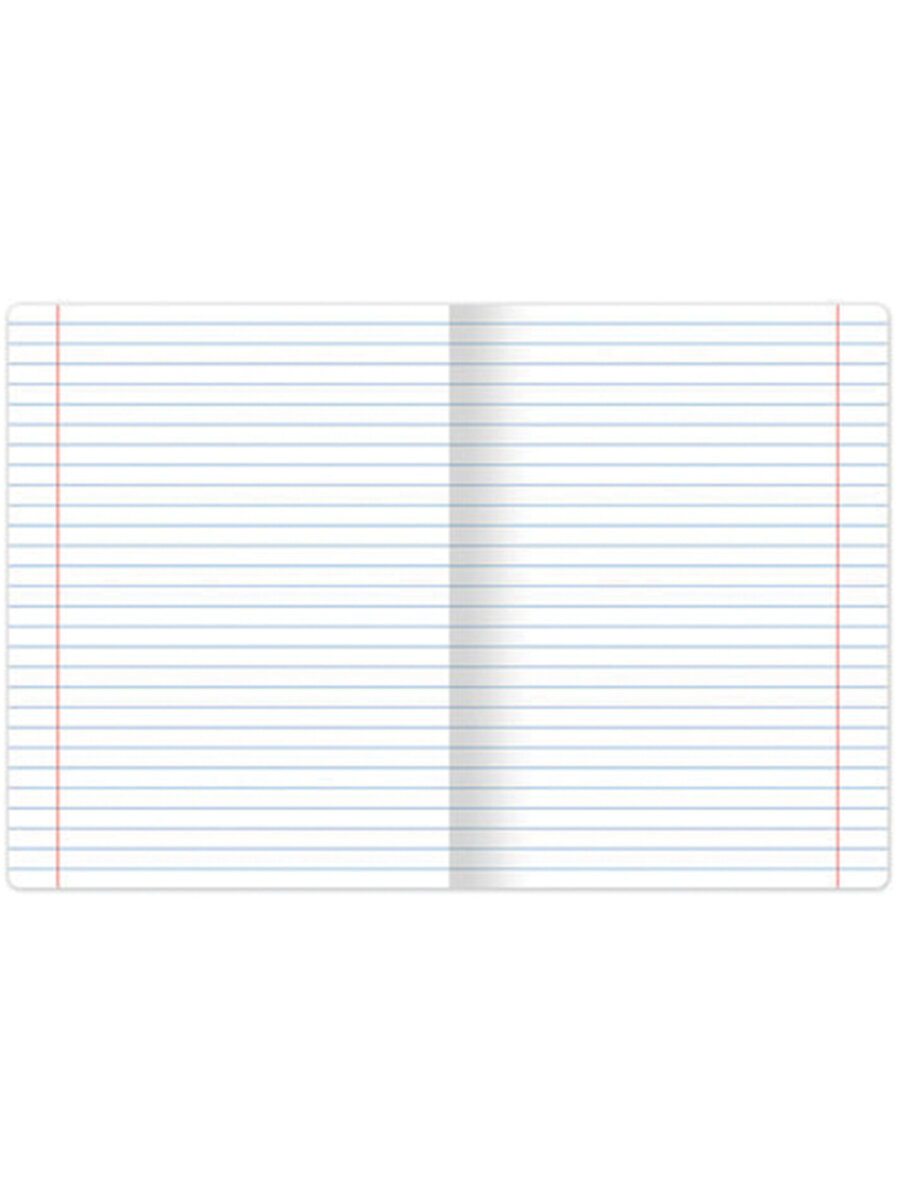 Общая тетрадь Brauberg линейка 24 лист. 20 шт. - фото 4