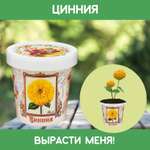 Набор для выращивания Rostok Visa