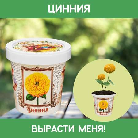 Набор для выращивания Rostok Visa