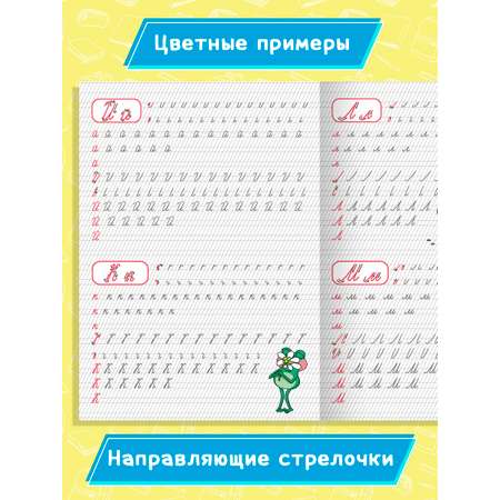 Прописи Проф-Пресс с Капибарой. Набор из 2 шт. А4. Учимся писать буквы+пишем буквы и слоги