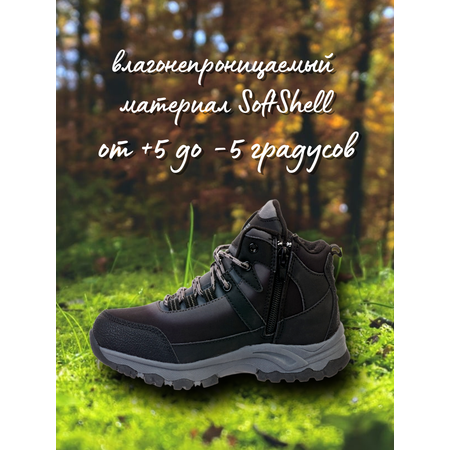 Ботинки Зебра