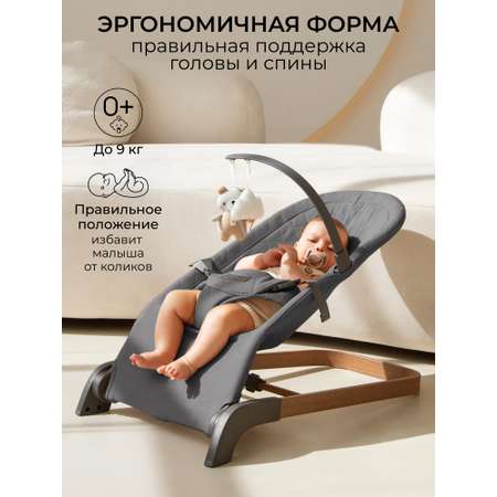 Детский шезлонг Amarobaby Harmony графит