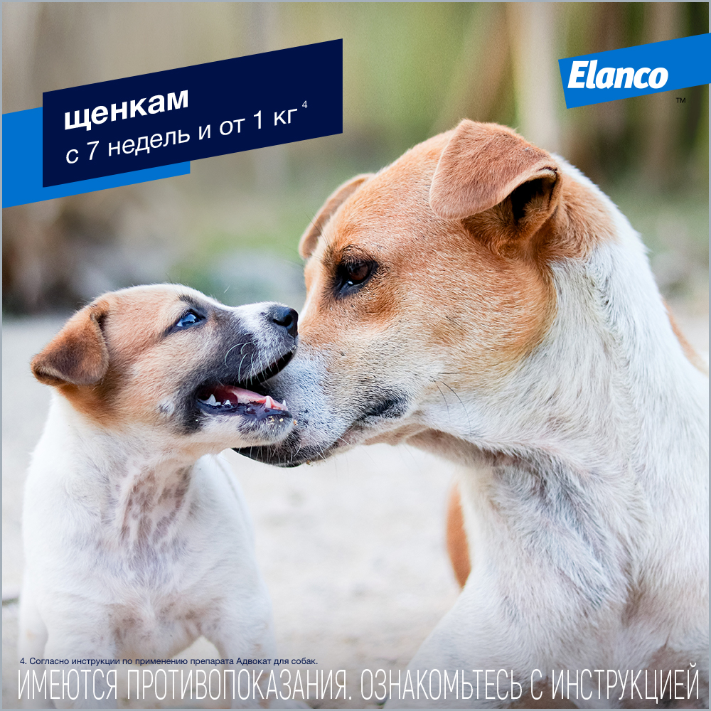 Капли для собак Elanco Адвокат более 25кг антипаразитарные 1пипетка - фото 7