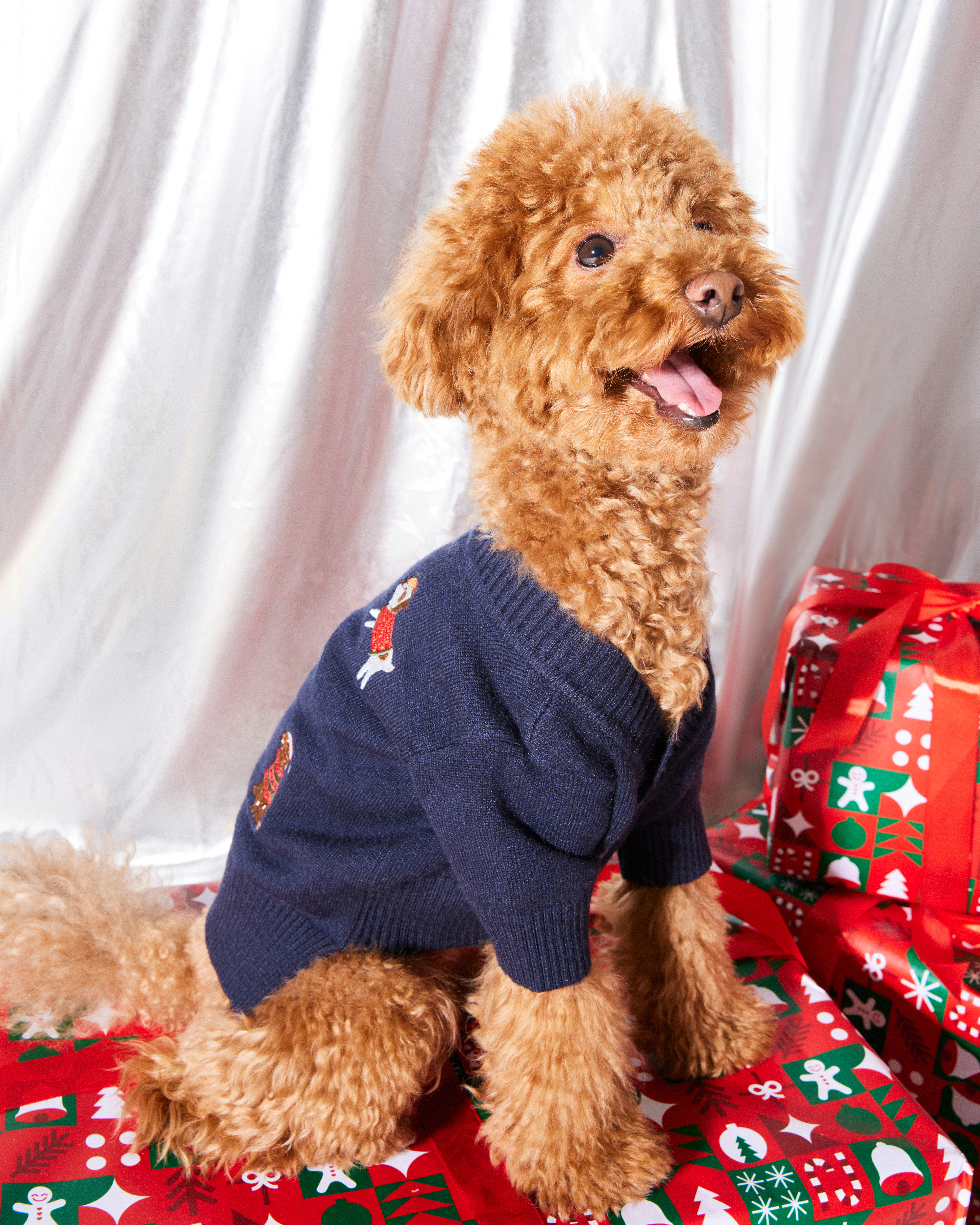 Джемпер для собак и кошек Зоозавр - фото 10