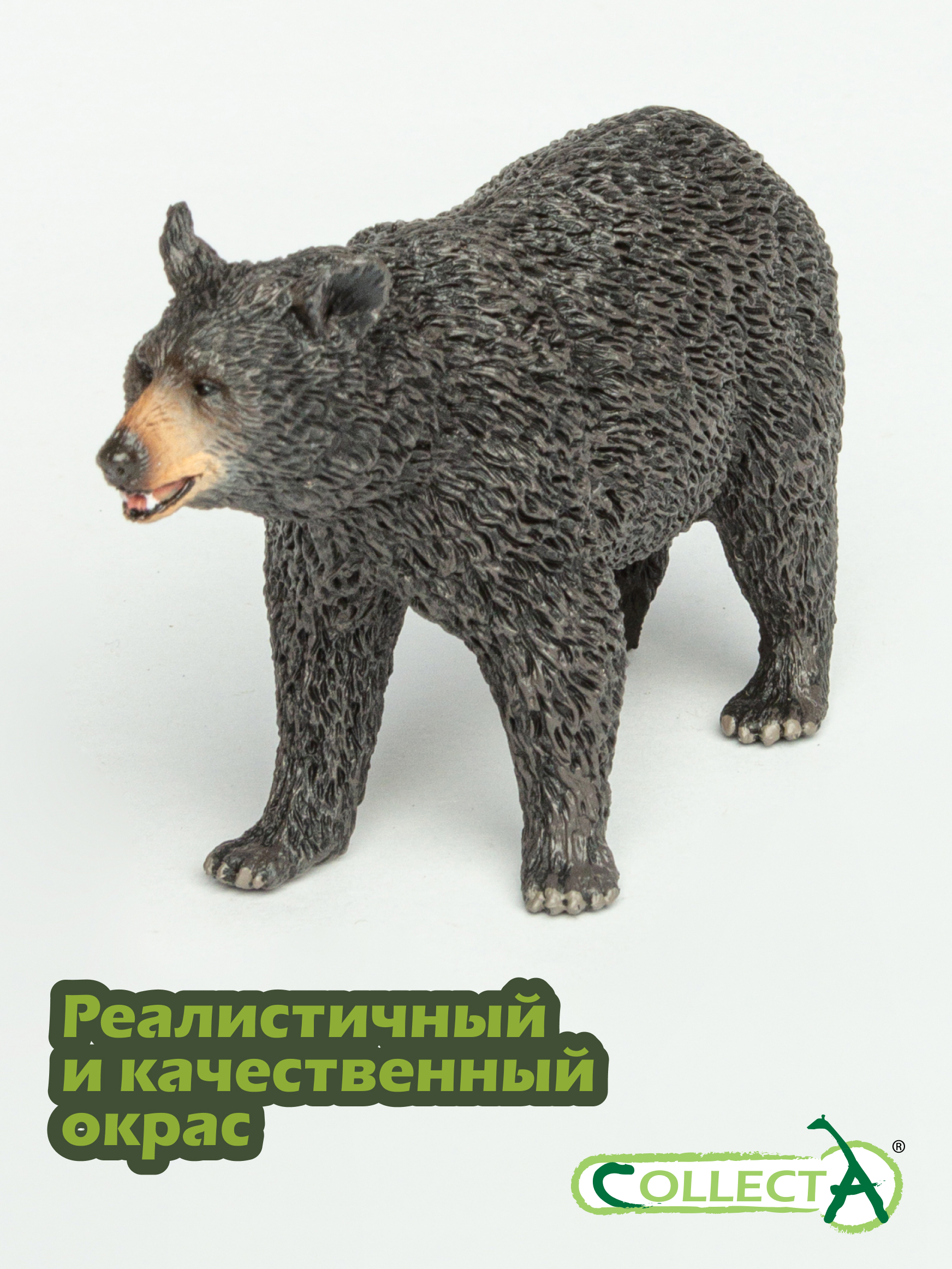Фигурка Collecta Американский чёрный медведь - фото 4