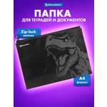 Папка для тетрадей Brauberg А4
