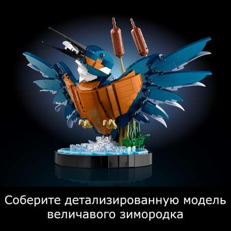 Конструктор LEGO Icons Сборная модель птицы блочный
