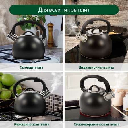 Чайник для плиты MARTA MT-3089 со свистком черный матовый