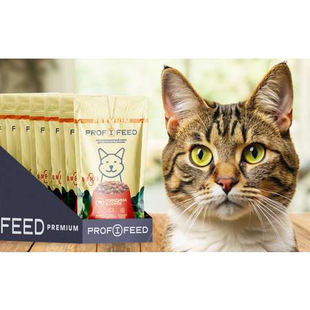 Корм консервированный для кошек пауч Profifeed с говядиной в соусе 75 г 28 шт