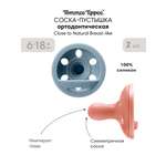 Пустышка Tommee tippee силикон ортодонтическая от 6 мес. 2 шт.