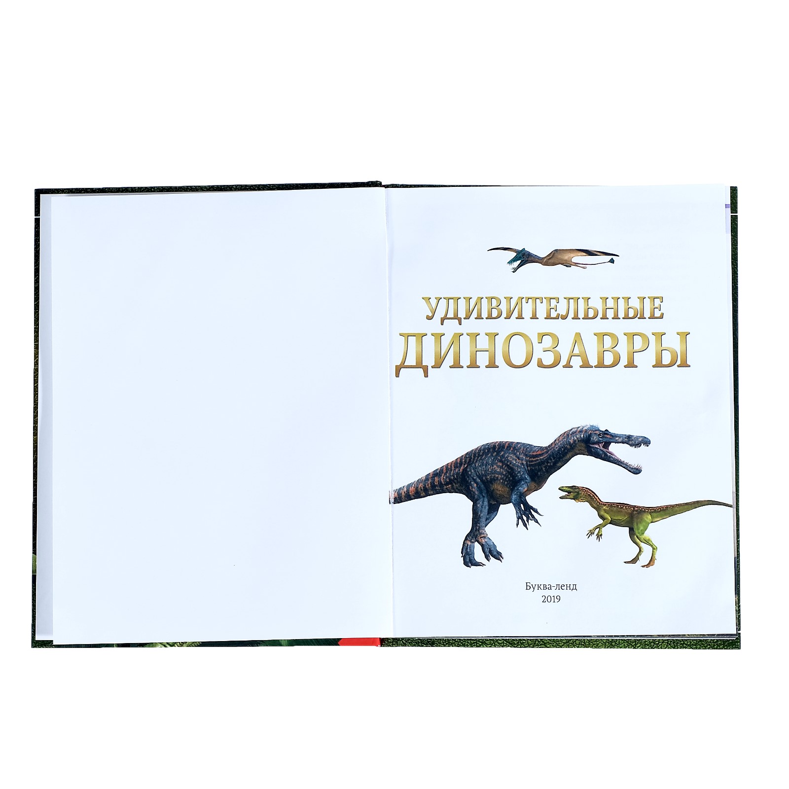 Детская энциклопедия Буква-ленд Удивительные динозавры - фото 2