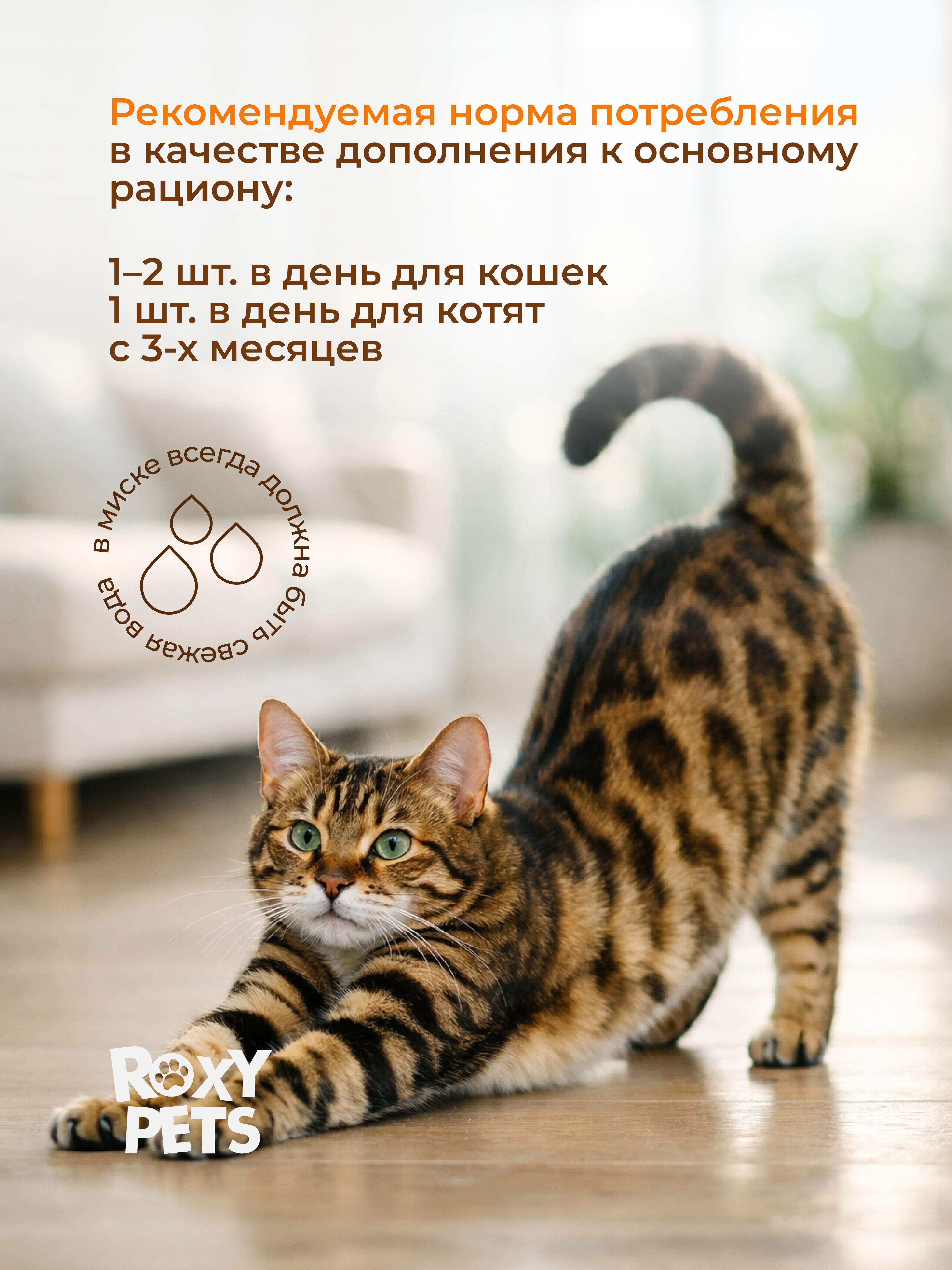 Крем-суп для кошек и котят всех пород ROXY PETS филе курицы карельского лосося и кошачьей мяты 2 уп из 10шт - фото 8