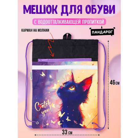Мешок для обуви ПАНДАРОГ