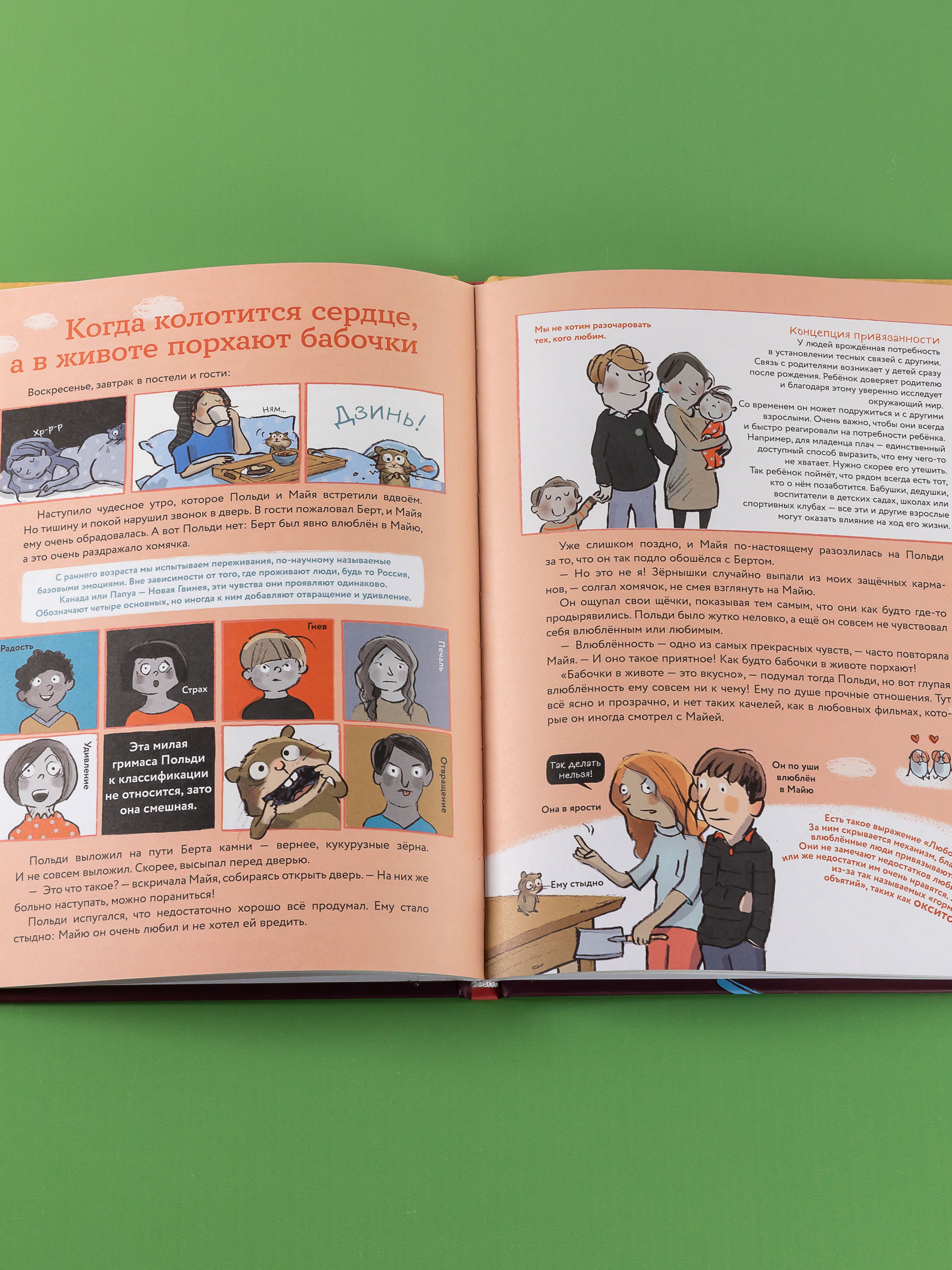 Книга Альпина. Дети Что такое человек? Записки любознательного хомяка - фото 11