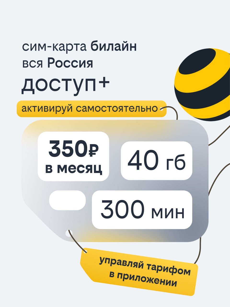 Сим-карта Билайн, Вся Россия, 300 минут + 40 ГБ - фото 1