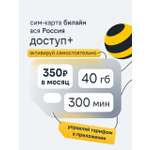 Сим-карта Билайн, Вся Россия, 300 минут + 40 ГБ