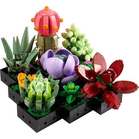 Конструктор LEGO Icons Суккуленты блочный