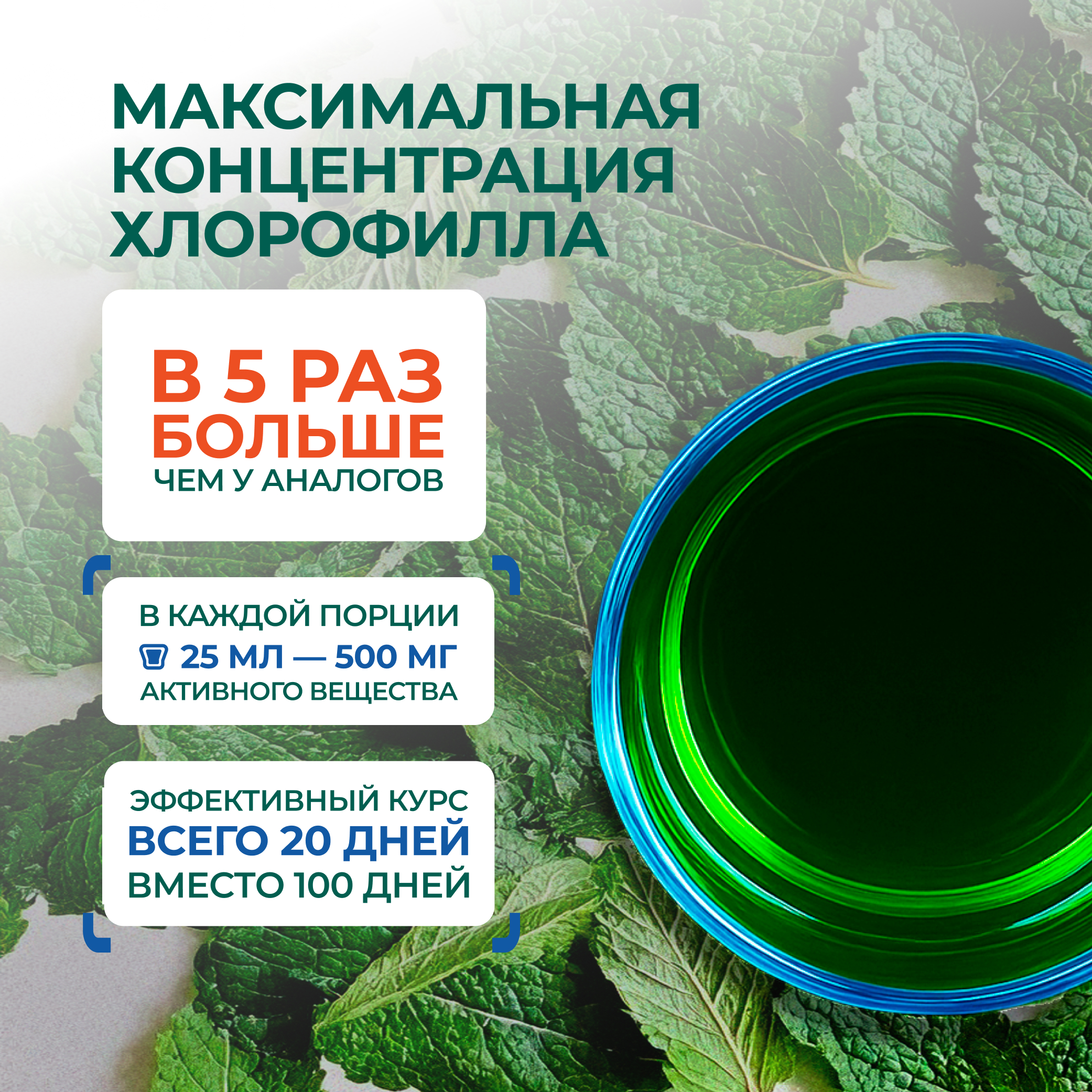 Хлорофилл жидкий LeafToGo натуральный, 500 мл - фото 2